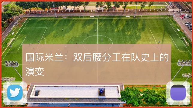 国际米兰：双后腰分工在队史上的演变